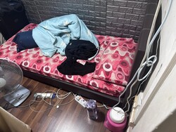 Blk 75 Whampoa Court (Toa Payoh), HDB 3 Rooms #469618041
